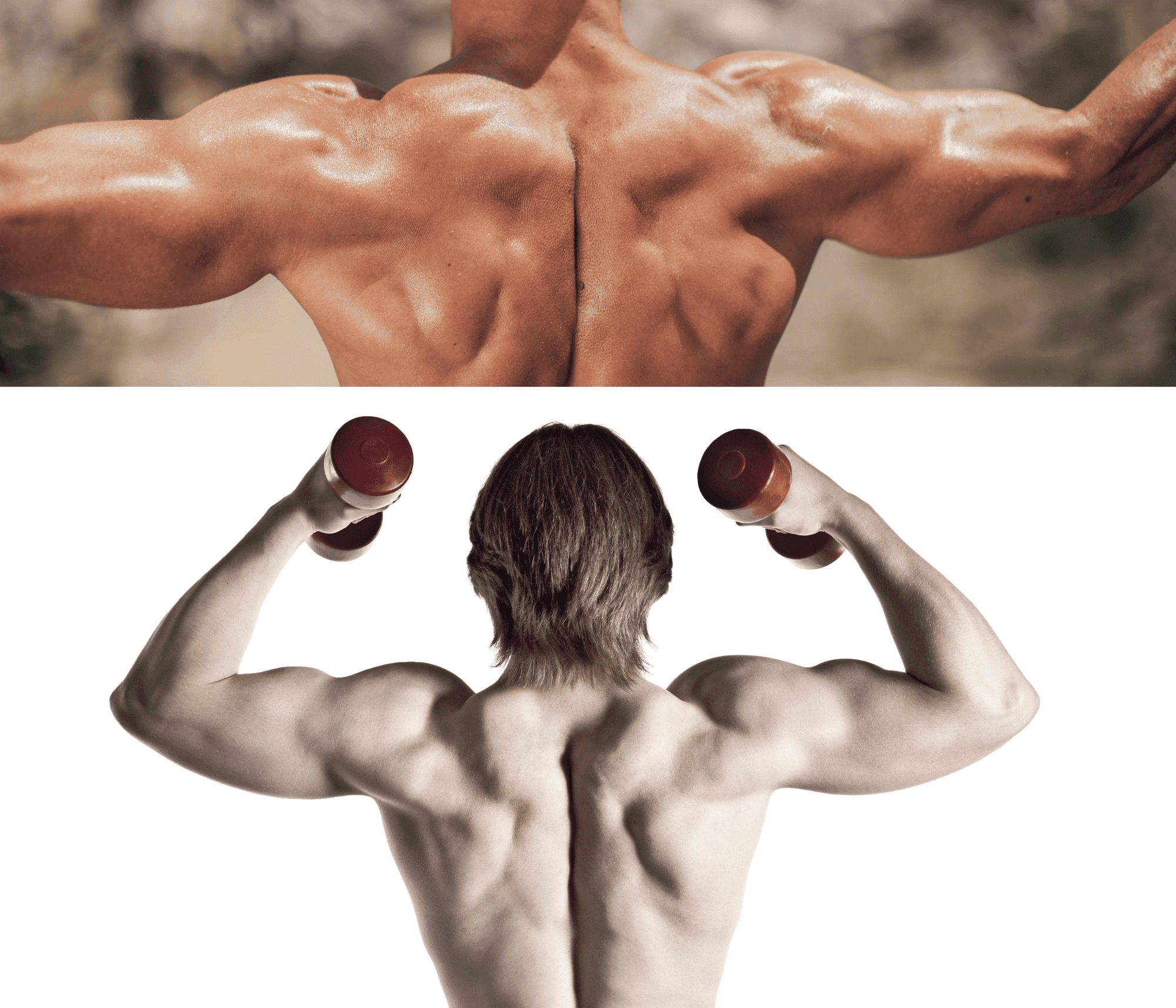 How to Do The Smith Machine Row? Guide)