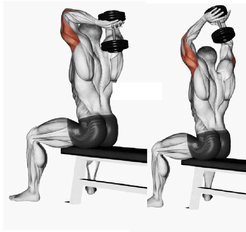 Master The Dumbbell French Press For Big Triceps